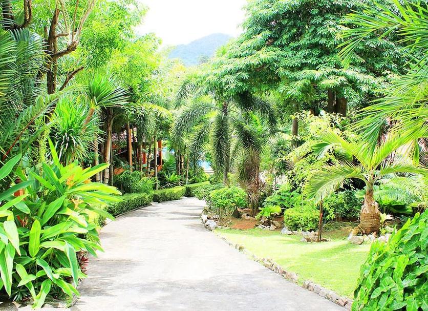 Outdoors view Photo