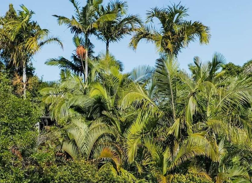Outdoors view Photo