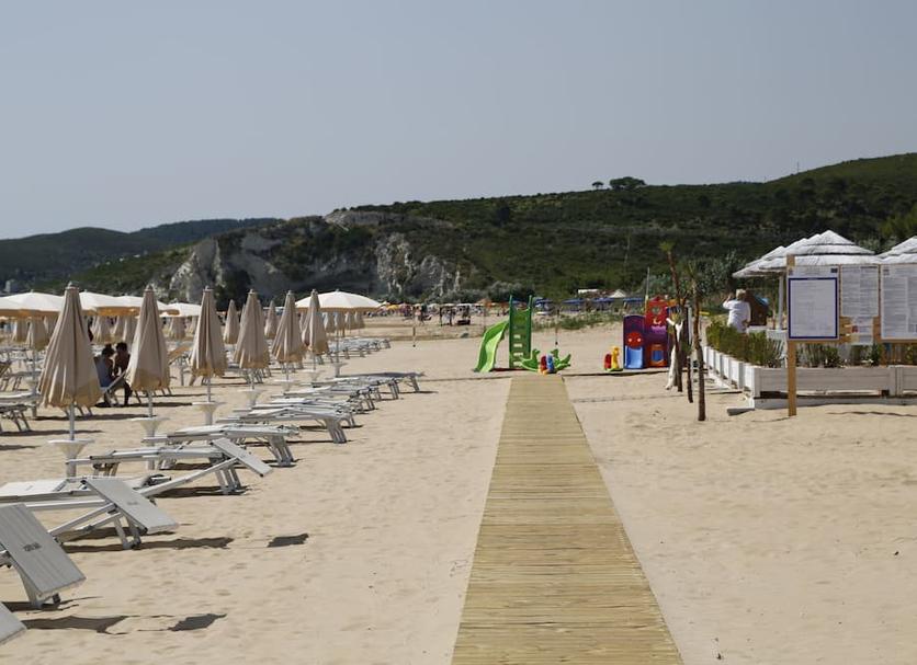 Beach Photo