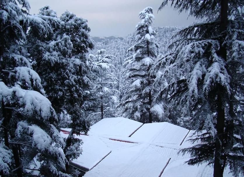 Outdoors view Photo