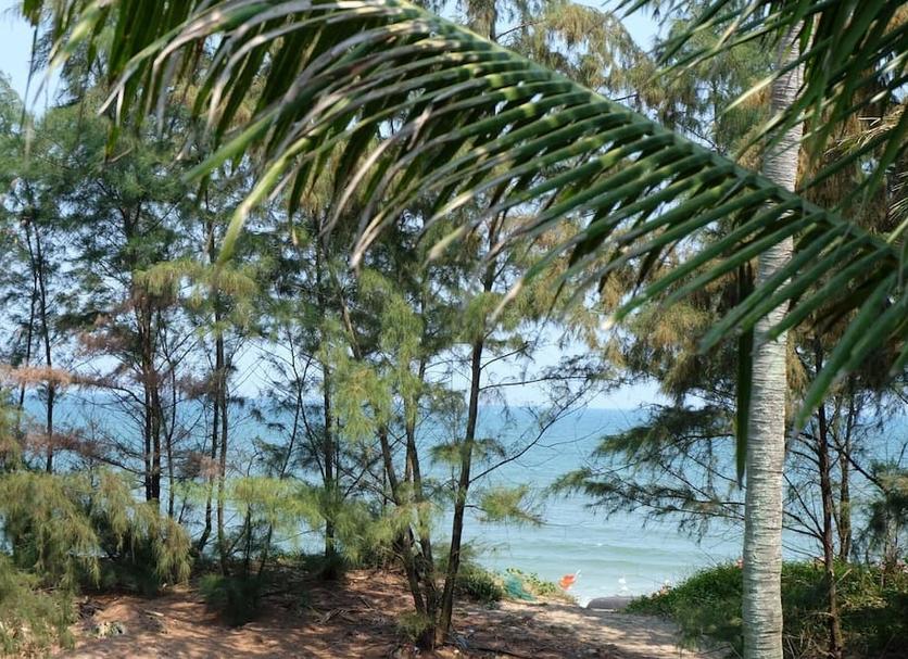 Outdoors view Photo