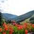 Outdoors view