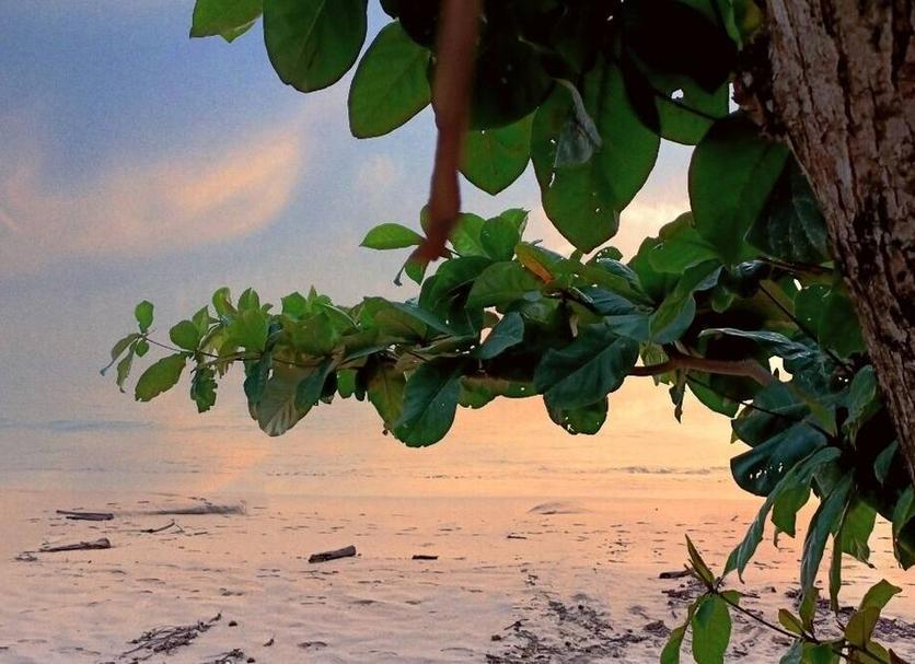 Outdoors view Photo
