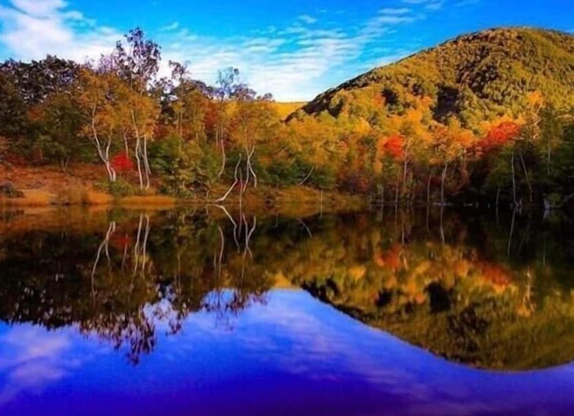 Outdoors view Photo