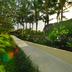 Outdoors view